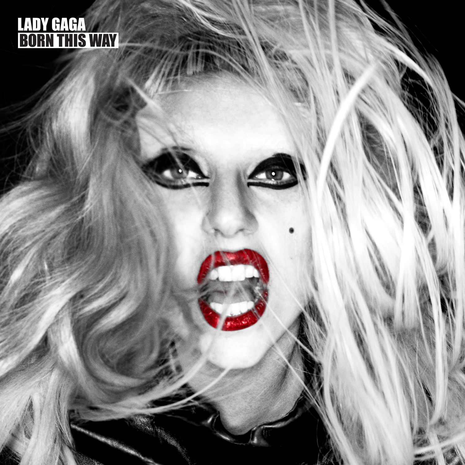 lady gaga born this way special edition cd cover