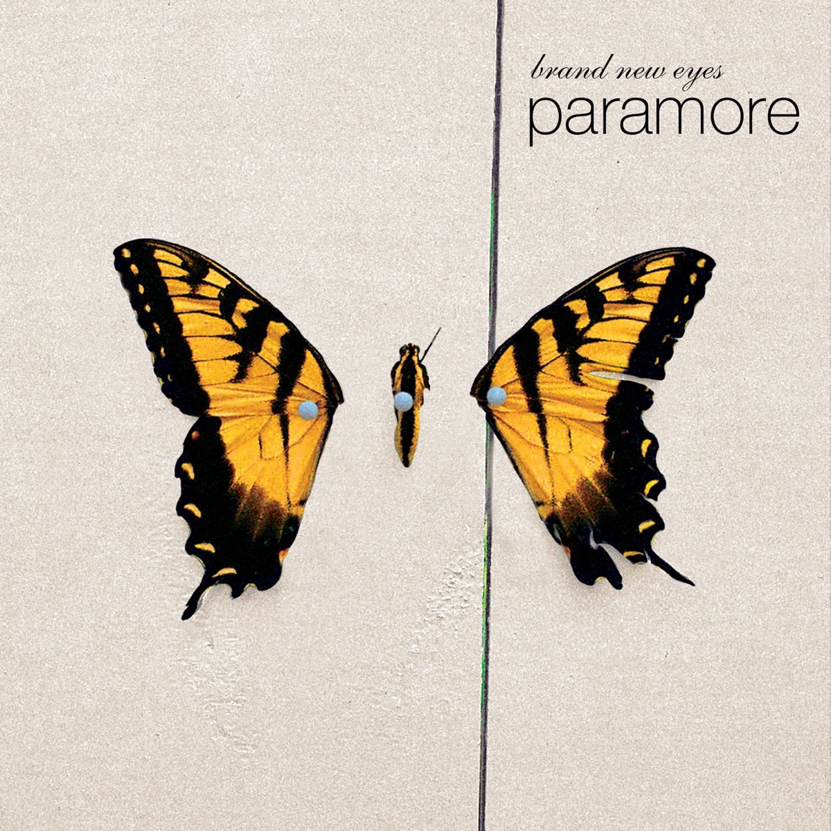 paramore brand new eyes cd cover