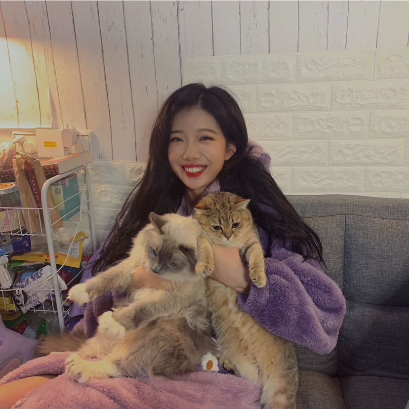 same as before but the onesie hoodie is down and she's holding both her cats while smiling widely